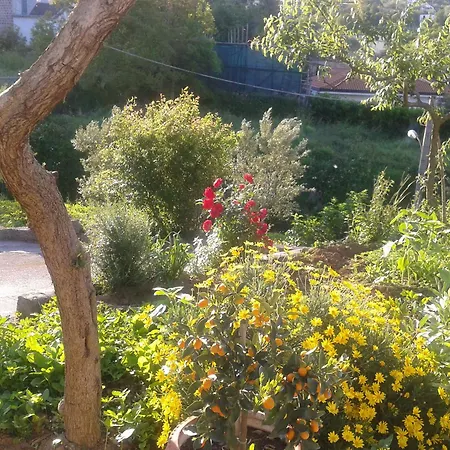 Panzió Il