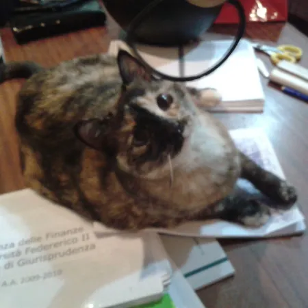 Bed & Breakfast Il 3*