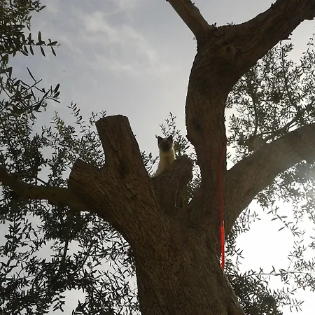 Il Bed & Breakfast SantʼAgata sui Due Golfi