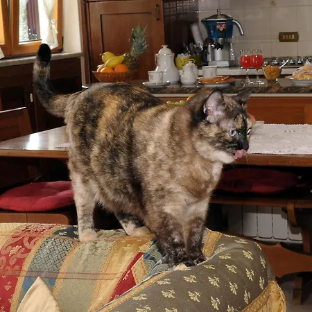 Il 3* SantʼAgata sui Due Golfi