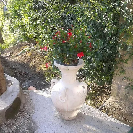 Bed & Breakfast Il 3*